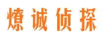 西秀市私家侦探